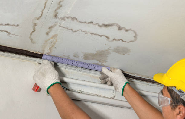 Reliable Mold Remediation contractor in Lebanon, KY by Water Damage Irwin